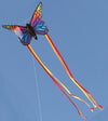 Spider kites Butterfly kite Rainbow