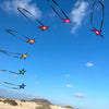 Spider kites Southern Stars