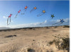 Spider kites Southern Stars