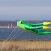 Wolkensturmer Fritz the Frog XL