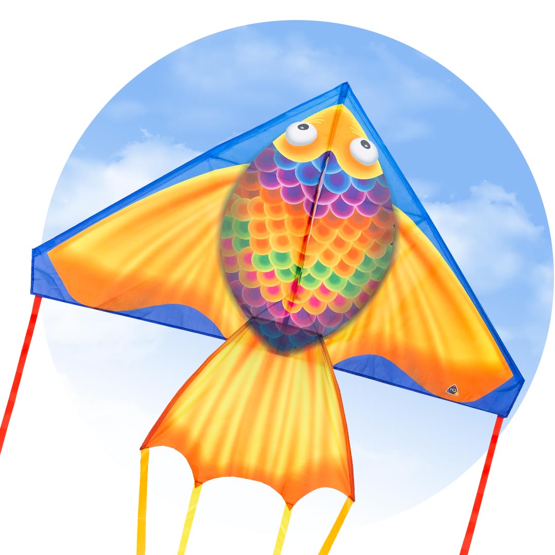HQ Delta Rainbow Checker Vlieger – 2 Meter, Kleurrijke Regenboog, Ready-to-fly, Inclusief Staart En Handgreep Met Lijn