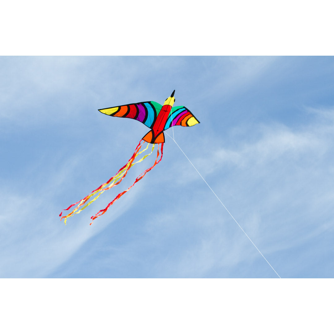 3D vlieger, Eenlijnsvlieger | Vlieger | HQ Tropical Bird 3D | Eenlijnsvlieger | Regenboog 3D vlieger, Eenlijnsvlieger | Vlieger | HQ Tropical Bird 3D | Eenlijnsvlieger | Regenboog