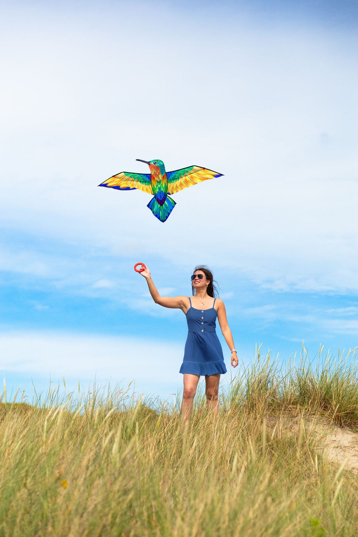 HQ Bird Kite Hummingbird – Vliegers.nl