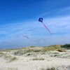 Wolkensturmer Racer Pirat